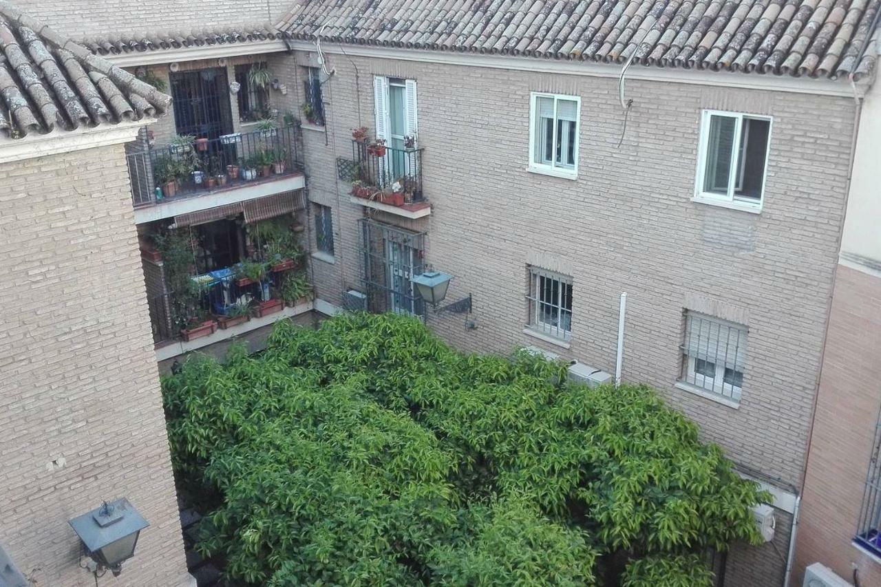 Alfalfa Home Sevilla Exteriör bild